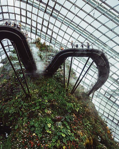 Gardens by the Bay Cloud Forest